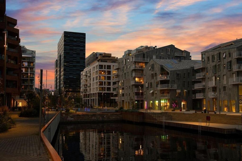 Lovely Central Apartment With Two Large Bedrooms Nearby Oslo Opera, Vis A Vis Botanical Garden المظهر الخارجي الصورة