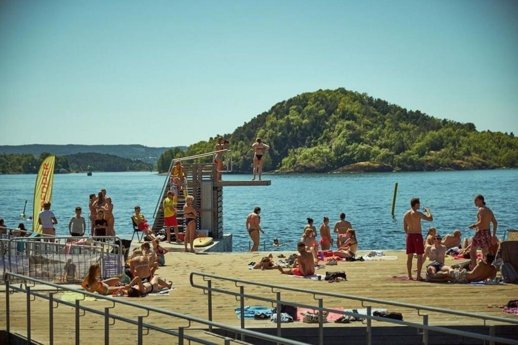 Lovely Central Apartment With Two Large Bedrooms Nearby Oslo Opera, Vis A Vis Botanical Garden المظهر الخارجي الصورة